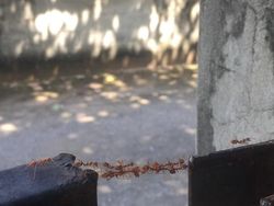 Definisi Foto Diambil di Tempat dan Waktu yang Tepat