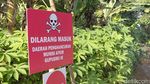 6 Potret Lokasi Ledakan Amunisi di Garut yang Tewaskan 13 Orang