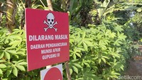 Papan pengumuman ini, juga ditemukan pada radius beberapa kilometer sebelum TKP, dari arah Garut di Jalan Raya Lintas Selatan. Jika diamati dengan seksama, lokasi pemusnahan ini berada di tepi pantai. Untuk bisa masuk ke dalam lokasi, harus melalui kawasan perkebunan yang luas.