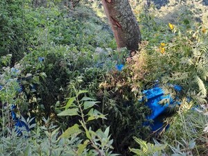 Mobil Wisatawan Bromo Terjun ke Jurang, 8 Orang Terluka