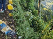 Landcruiser Angkut Wisatawan Bromo Terjun ke Jurang karena Sopir Ngantuk