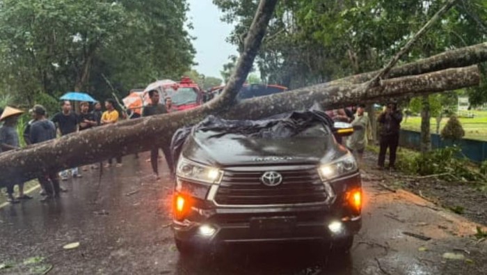 Mobil anggota Polri yang tertimpa pohon di Tanjabtim.