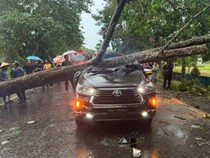 Ipda Almu Tewas Usai Mobil yang Dikemudikannya Tertimpa Pohon di Tanjabtim