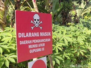 Aktivitas Pemusnahan Amunisi Afkir Ganggu Habitat Burung?