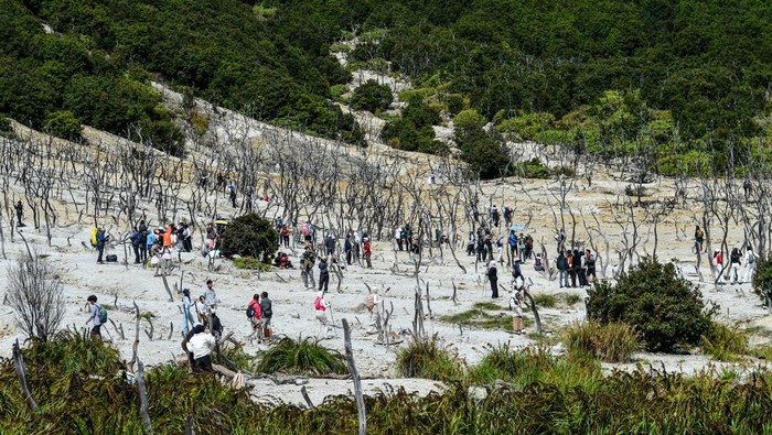 Pendaki menaiki bukit di samping kawah di Taman Wisata Alam (TWA) Gunung Papandayan di Kabupaten Garut, Jawa Barat, Senin (12/5/2025). Pengelola TWA Gunung Papandayan memprediksi pada libur panjang waisak 2025 pengunjung yang berlibur di Gunung Papandayan mengalami kenaikan hingga 15 persen dibanding hari biasa atau mencapai 2000 pengunjung perhari sejak Sabtu (10/5)-Senin (12/5). ANTARA FOTO/Raisan Al Farisi/Spt.