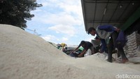 Perum Bulog melaporkan telah melakukan penyerapan beras sebanyak 2.000.524 ton hingga awal Mei 2025 ini. Dengan capaian itu, jumlah stok cadangan beras pemerintah (CBP) di gudang Bulog telah mencapai 3,6 juta ton. 