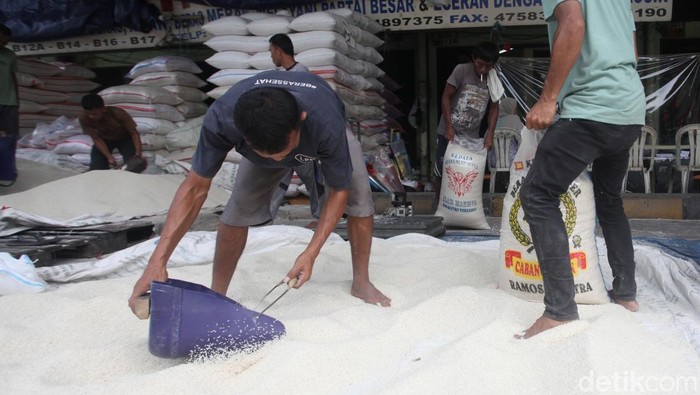 Buruh mengangkut beras yang baru tiba dari Karawang, Jawa Barat, di Pasar Induk Beras Cipinang, Jakarta Timur, Selasa (13/5/2025).