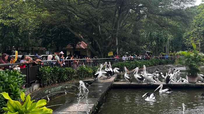 Taman Margasatwa Ragunan, Jakarta Selatan (Jaksel) pada hari cuti bersama Waisak 2025, Selasa (13/5/2025).
