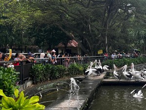 Catat! Jam Buka Ragunan selama Bulan Ramadan 2026