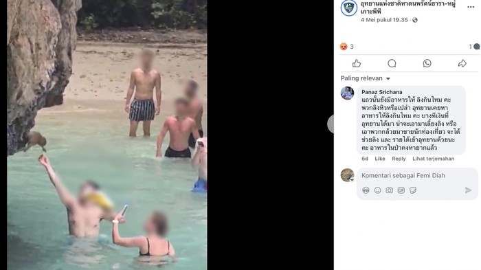 Turis bule terekam memberi makan kepada monyet liar di Taman Nasional Kepulauan Hat Noppharat Thara-Phi Phi.
