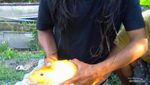 Sensasi Memancing Ikan Tombro dan Rahasia Kearifan Lokal di Baliknya