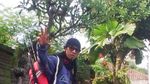 Sensasi Memancing Ikan Tombro dan Rahasia Kearifan Lokal di Baliknya