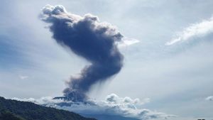 Gunung Marapi Erupsi, Kolom Abu Capai 1,6 Kilometer
