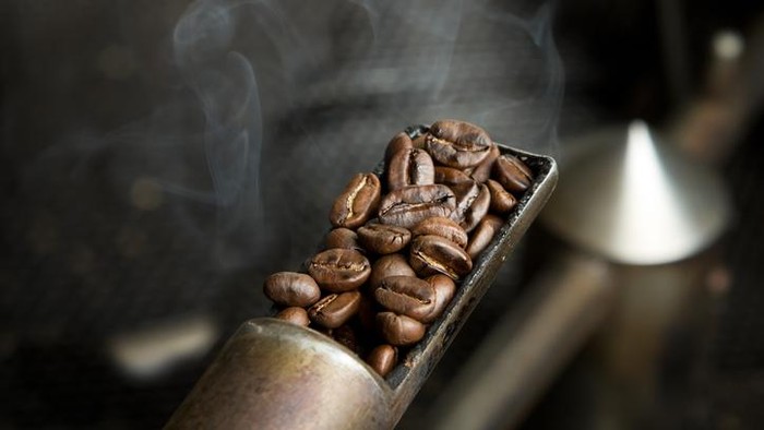 Ilustrasi tingkat roasting biji kopi