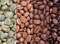 Perbedaan Kopi Arabika dan Robusta yang Wajib Diketahui Pencinta Kopi