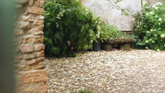 Inspirasi halaman belakang minimalis untuk rumah mungil.