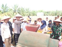 Program Swasembada Pangan, Polres Banyuasin Panen Jagung Perdana