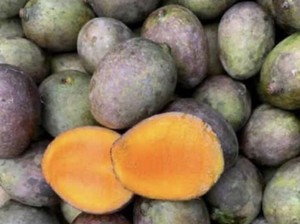 5 Buah yang Berstatus Punah, Mangga dari Kalimantan Salah Satunya