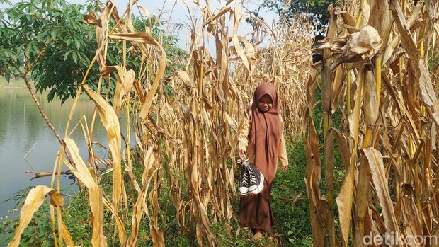 Nera Nur Puspita, Siswa SMA Saguling yang Berangkat Sekolah Naik Rakit
