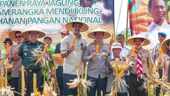 Panen raya jagung di Kabupaten Bandung