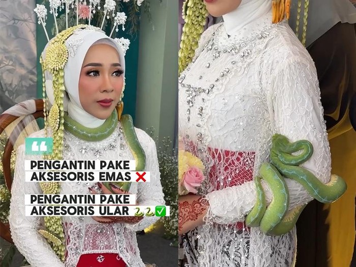Makeup artist (MUA) ini merekam momen saat pengantin wanita memakai ular sebagai aksesori di acara pernikahannya. Postingan tersebut langsung viral.