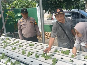Dorong Ketahanan Pangan, Polisi di Sidoarjo Cek Kebun Hidroponik Warga