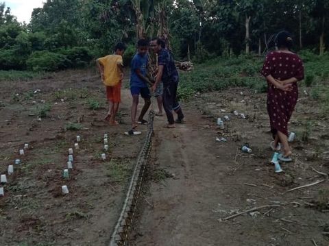 Ular piton 7 meter dibunuh warga di Muna gegara menerkam-melilit gadis ABG.