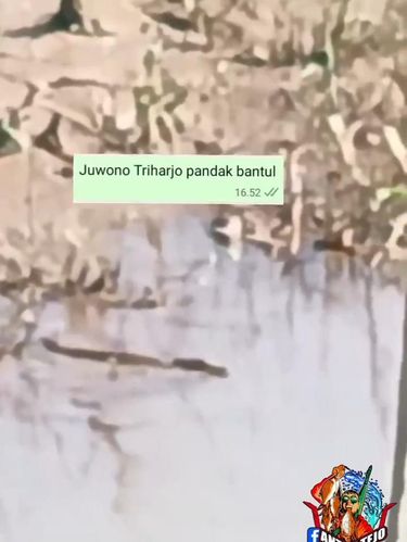 Tangkapan layar kemunculan seekor buaya di Sungai Progo wilayah Triharjo, Pandak, Bantul. Foto diunggah Rabu (14/5/2025).