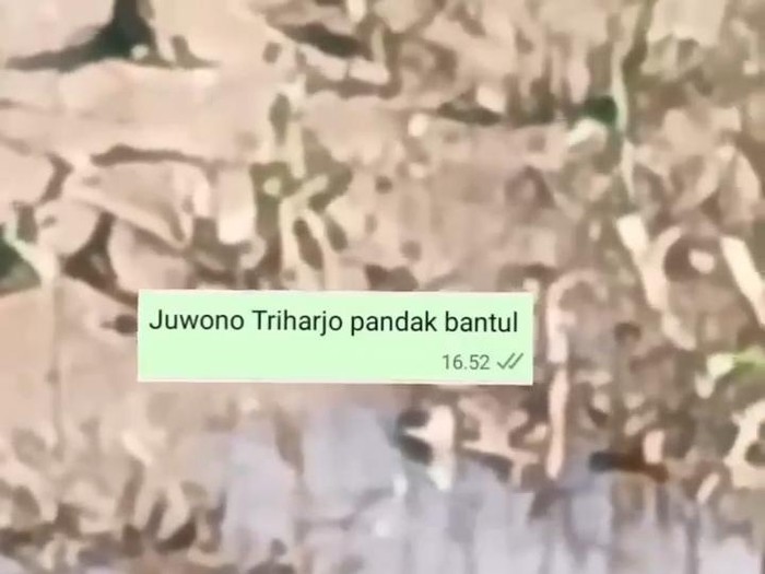 Tangkapan layar kemunculan seekor buaya di Sungai Progo wilayah Triharjo, Pandak, Bantul. Foto diunggah Rabu (14/5/2025).