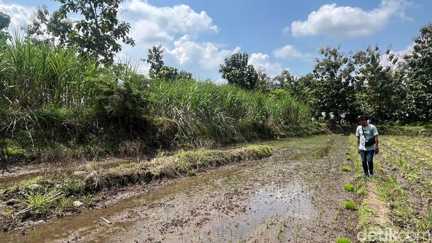 Arkeolog ekskavasi bagian Candi Brahu, candi tertua di Mojokerto. Arkeolog ekskavasi bagian Candi Brahu, candi tertua di Mojokerto.