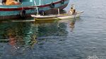 Fenomena Ubur-ubur di Pelabuhan Mayangan Kota Probolinggo