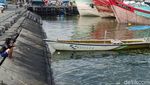 Fenomena Ubur-ubur di Pelabuhan Mayangan Kota Probolinggo