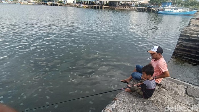 Jutaan ubur-ubur penuhi pantai Pelabuhan Mayangan.