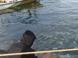 Heboh Ubur-ubur Muncul di Pelabuhan Mayangan, Begini Penampakannya