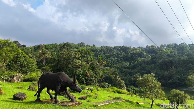 13 Wisata Kuningan untuk Healing, Destinasi Terbaik dan Instagramable