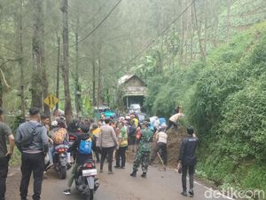 Pasuruan Siaga Longsor Terutama di 8 Titik Jalur Wisata Bromo