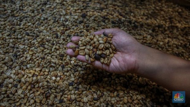 Pameran World of Coffee Jakarta 2025 di Jakarta International Convention Center (JICC), Jakarta, Kamis (15/5/2025). (CNBC Indonesia/Faisal Rahman)