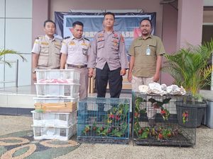 Pengiriman 81 Burung Ilegal Pakai Bus Digagalkan Petugas di Pelabuhan Lembar