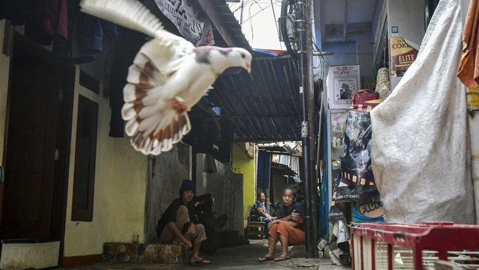 Warga menjahit di dalam rumahnya di kawasan padat penduduk di Menteng, Jakarta, Kamis (15/5/2025). Badan Pusat Statistik mencatat jumlah keluarga di Indonesia yang masih menempati rumah tak layak huni pada 2024 mencapai 34,75 persen, sedangkan rumah tangga yang menempati rumah layak huni mencapai 65,25 persen atau sedikit meningkat dari tahun 2023 sebesar 63,15 persen. ANTARA FOTO/Sulthony Hasanuddin