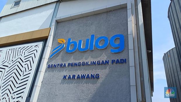 Wamentan Sudaryono saat meninjau Sentra Penggilingan Padi Bulog di Karawang, Jawa Barat. (CNBC Indonesia/Martyasari Rizky)