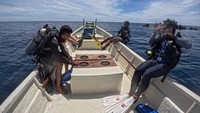 Batee Tokong, yang terletak di perairan Iboih, adalah salah satu lokasi selam paling populer di Pulau Weh. Di sana, para penyelam dapat menikmati keindahan terumbu karang yang masih alami, berbagai jenis ikan tropis, hingga pengalaman mendalam dengan arus bawah laut yang memacu adrenalin.Batee Tokong, yang terletak di perairan Iboih, adalah salah satu lokasi selam paling populer di Pulau Weh. Di sana, para penyelam dapat menikmati keindahan terumbu karang yang masih alami, berbagai jenis ikan tropis, hingga pengalaman mendalam dengan arus bawah laut yang memacu adrenalin. Foto: ANTARA FOTO/Khalis Surry