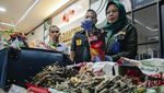 Penampakan 20,9 Kg Kuda Laut Kering yang Gagal Diselundupkan ke Mesir
