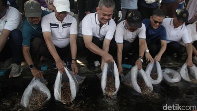 Aksi Bersih Sampah dan Tebar Nila Warnai Festival Desa