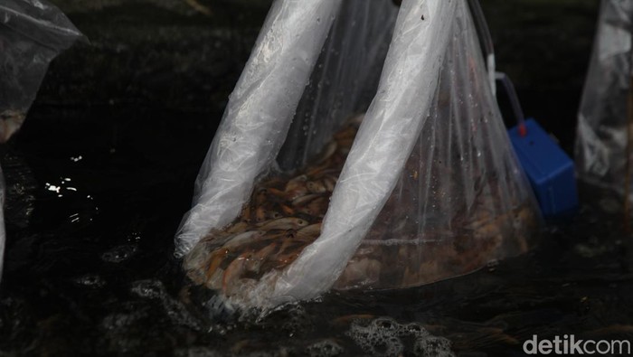 Ada pemandangan berbeda pagi ini di Alun-alun Cikande, Serang, Banten, Jumat (16/5/2025). Warga dan pelajar tampak aktif membersihkan sampah di sekitar area festival usai mengikuti senam massal pembuka.