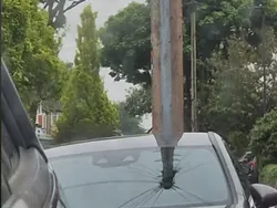 Waspada! Mata Bisa Tertipu Foto Ini, Lihat Dua Kali