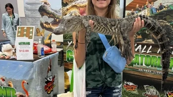 Coba lihat lagi, apakah buaya yang diangkat terbuka mulutnya. Foto: Reddit