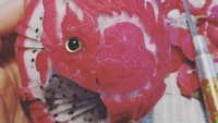 Buah naga menjadi naga, tulis Gaku di keterangan foto. Ia ternyata berhasil menaklukan tekstur buah naga yang lembek. Foto: Instagram gakugakugakugakugaku1