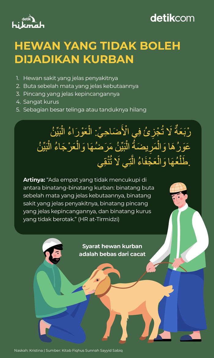 Infografis hewan yang tidak boleh dijadikan kurban Infografis hewan yang tidak boleh dijadikan kurban