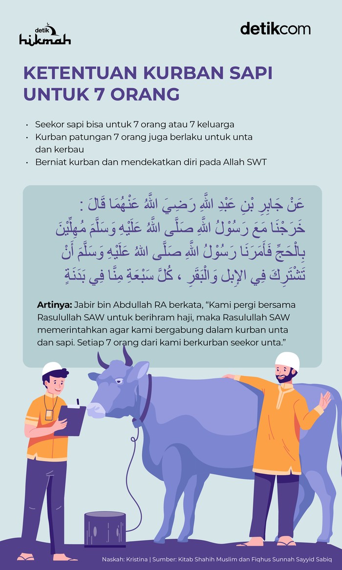 Infografis Ketentuan Kurban Sapi untuk 7 Orang