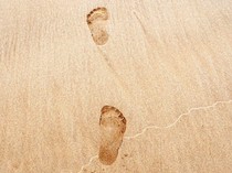 Menguak Temuan Jejak Kaki 115 Ribu Tahun di Gurun Nefud